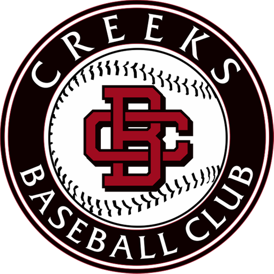 CBC CUSTOM BATTING GLOVES