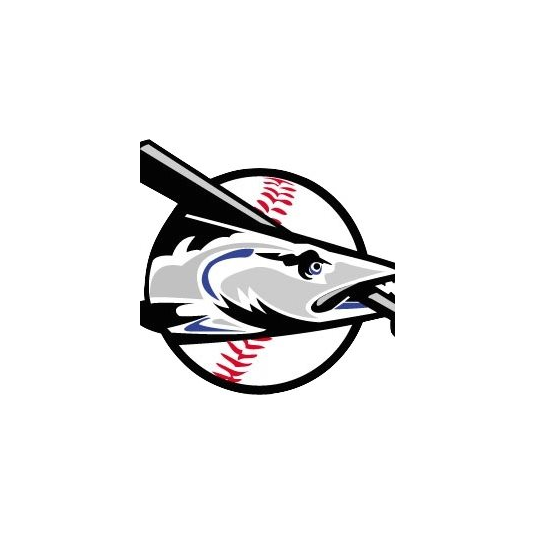 JBAA CUSTOM BATTING GLOVES